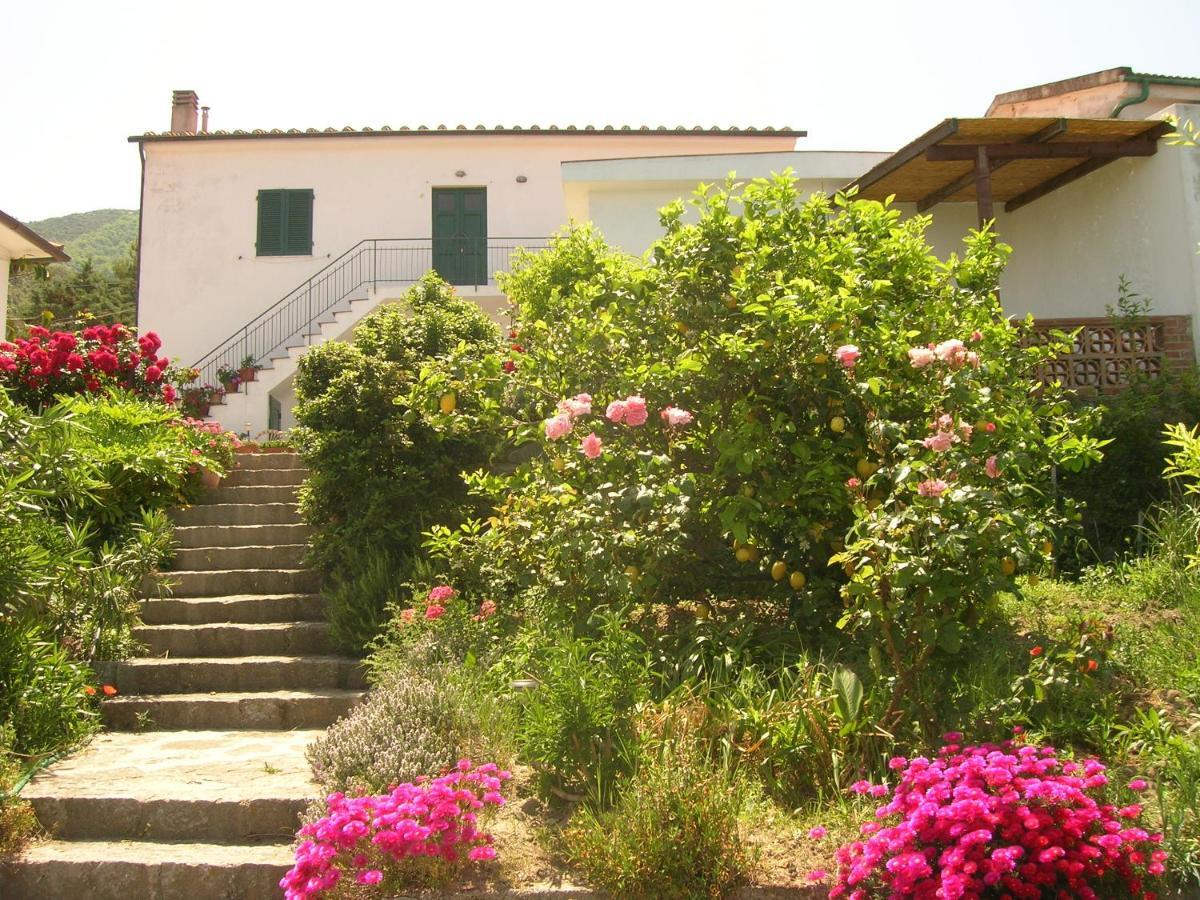 Zanca Casa Vigna Maria 아파트 외부 사진
